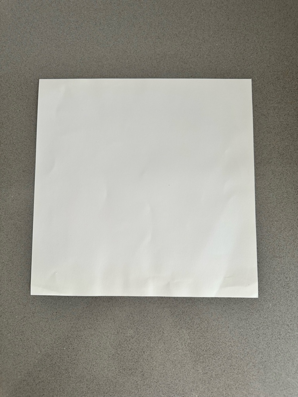 Park West Emilie Bellet "Dans la Maturite des Bles" 10x10 Lithograph print COA - Picture 4 of 14